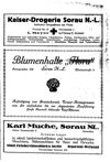 [Einwohnerbuch von Stadt und Kreis Sorau NL]