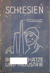 Schlesien Bodenschätze und Industrie