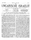 [Der ungarische Israelit]